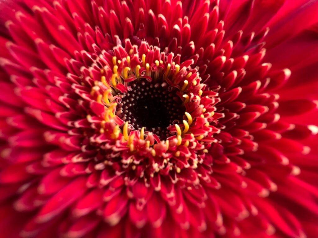 Shoot on iPhone 13 Pro 10