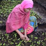 Tanzania ecosia aich15