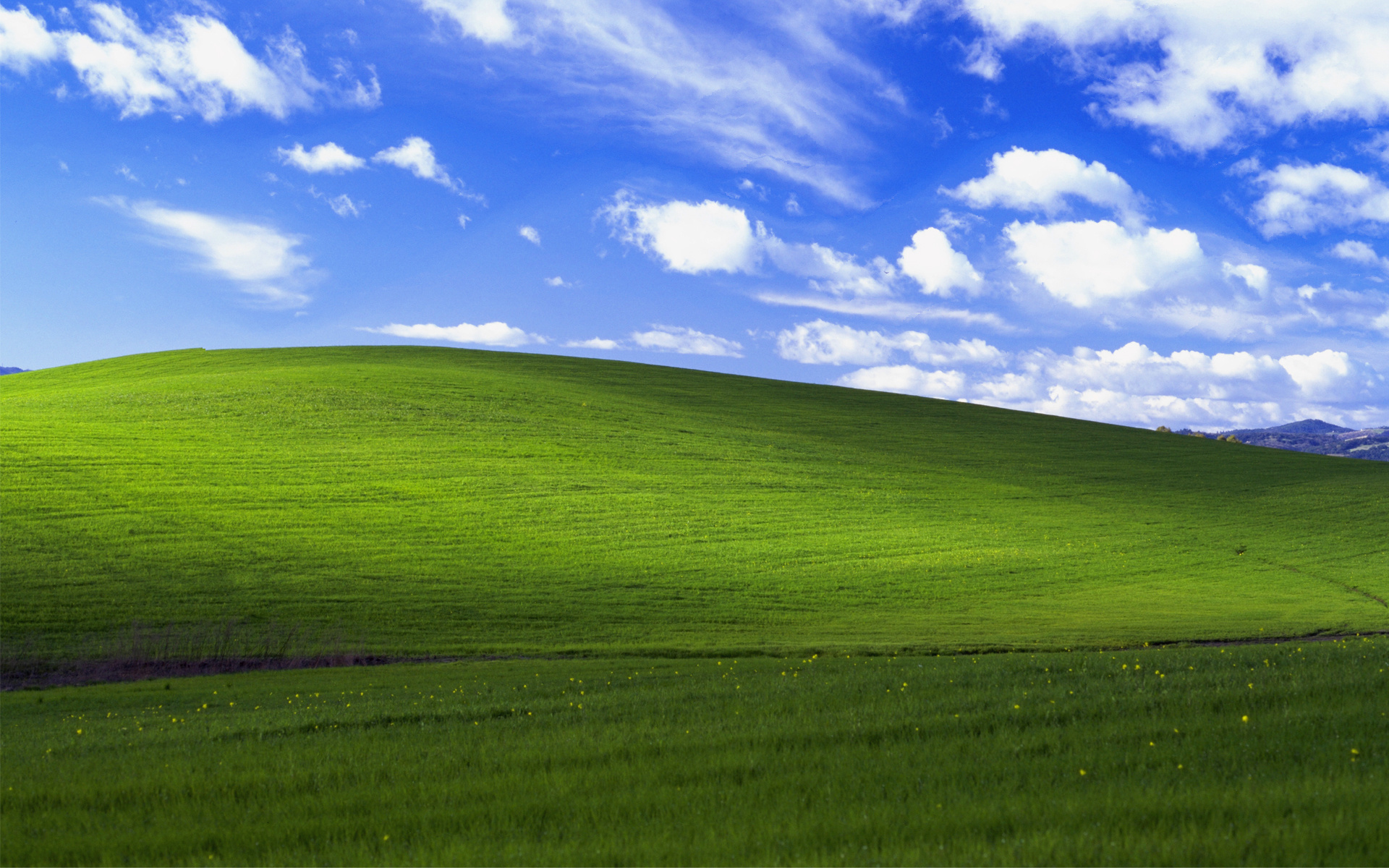 Cosa fare dopo il pensionamento di windows xp