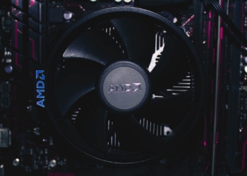 Cropped Copamd.jpg