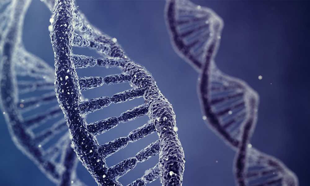 Come caricare un film sul DNA