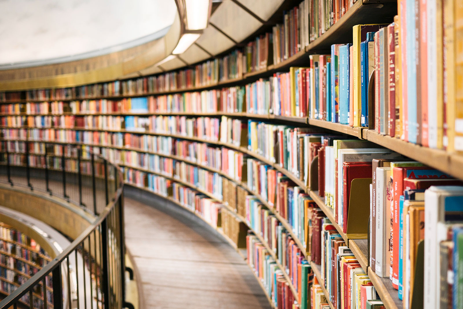 Amazon: cos’è e come funziona