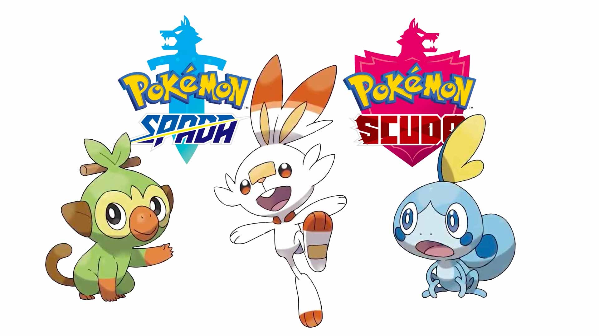 starter ltqohq starter ltqohq
