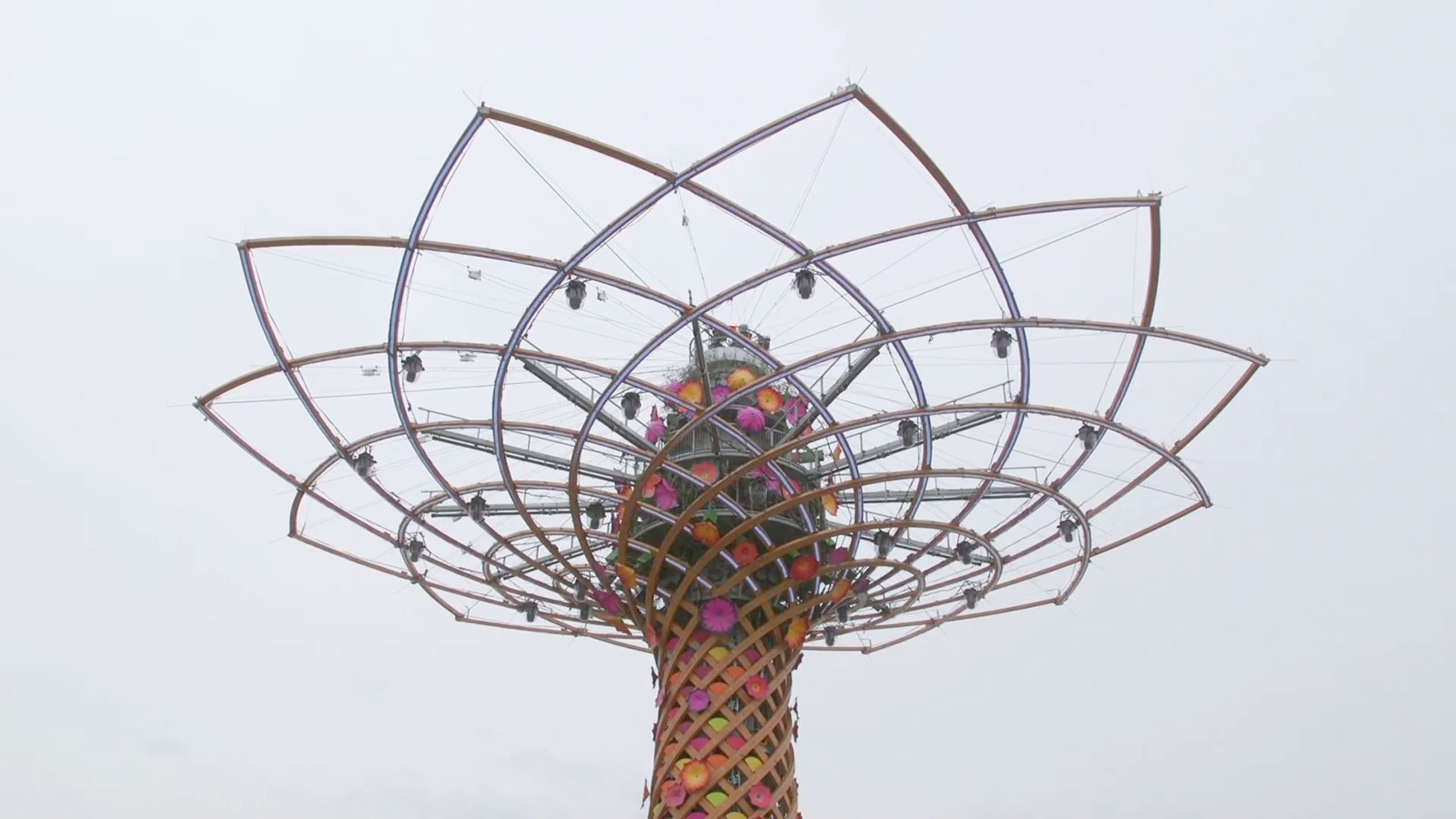 treeoflife jedyvn Cosa ci ha insegnato l’Albero Della Vita?