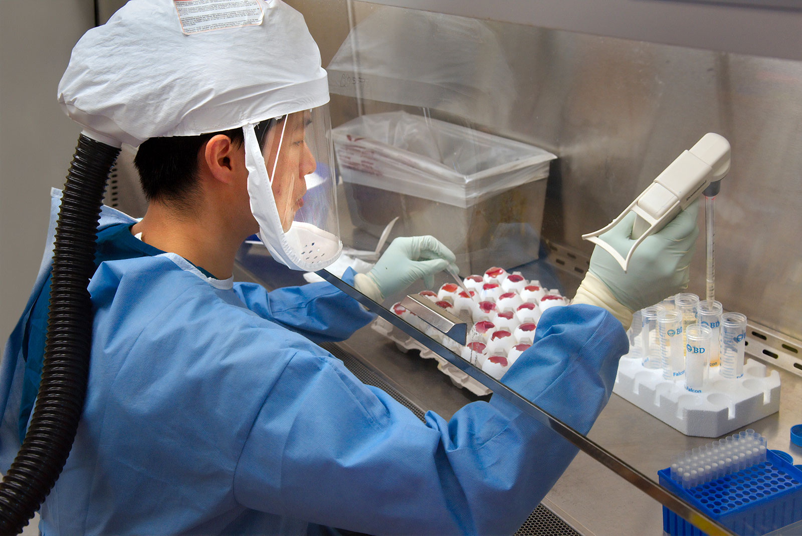 Covid-19, e-commerce e fake news: le contromisure contro sciacalli e disinformazione