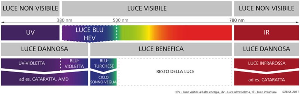 luci luci